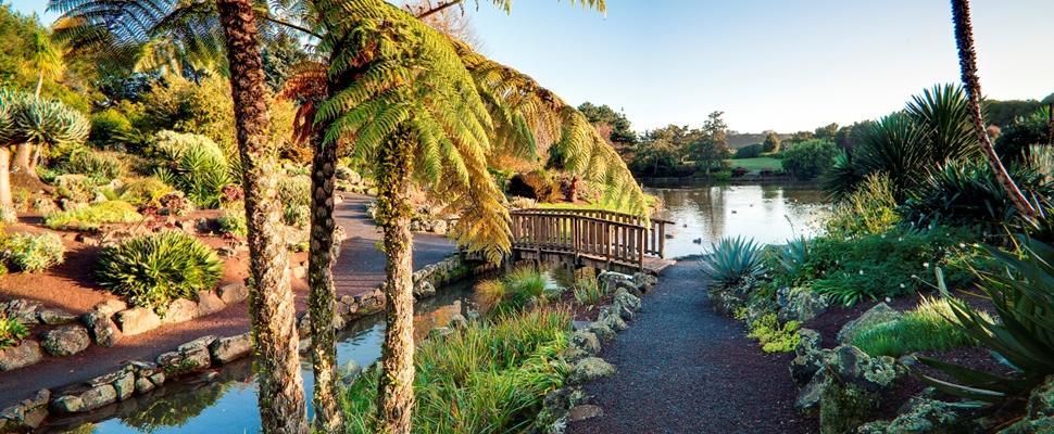 The Gardens Bed And Breakfast Auckland Extérieur photo